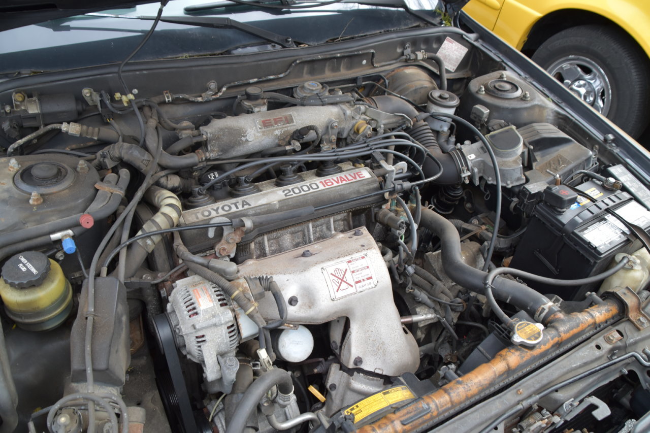 EB1_4130.jpg