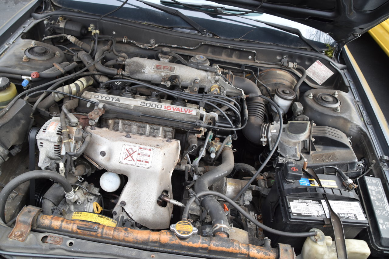 EB1_4131.jpg