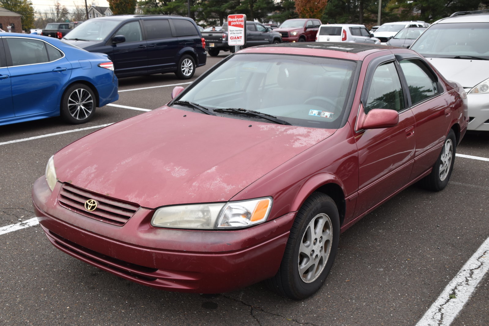 EB1_8203.jpg