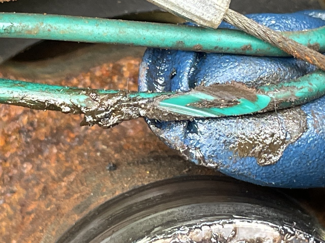 EB24D6AD-D39B-4490-A452-54040DF886F4.jpg