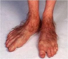 ec84ccd89e909226afb12657dd0d13a4--hobbit-feet-meme-pictures.jpg