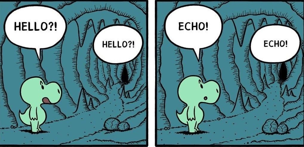 echo.jpg