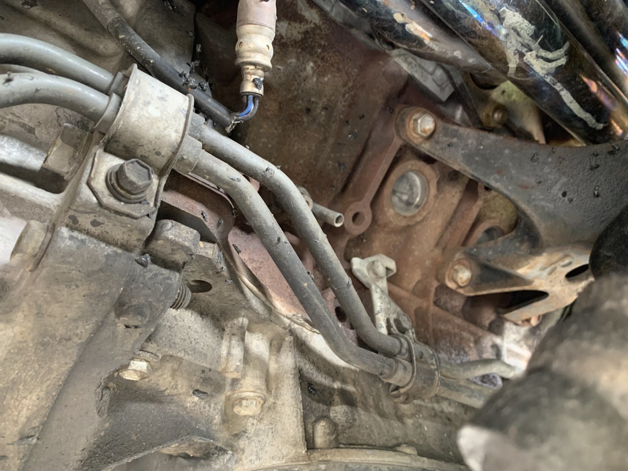Coolant leak by trani? 1st gen 4.7 | Toyota Tundra Forum