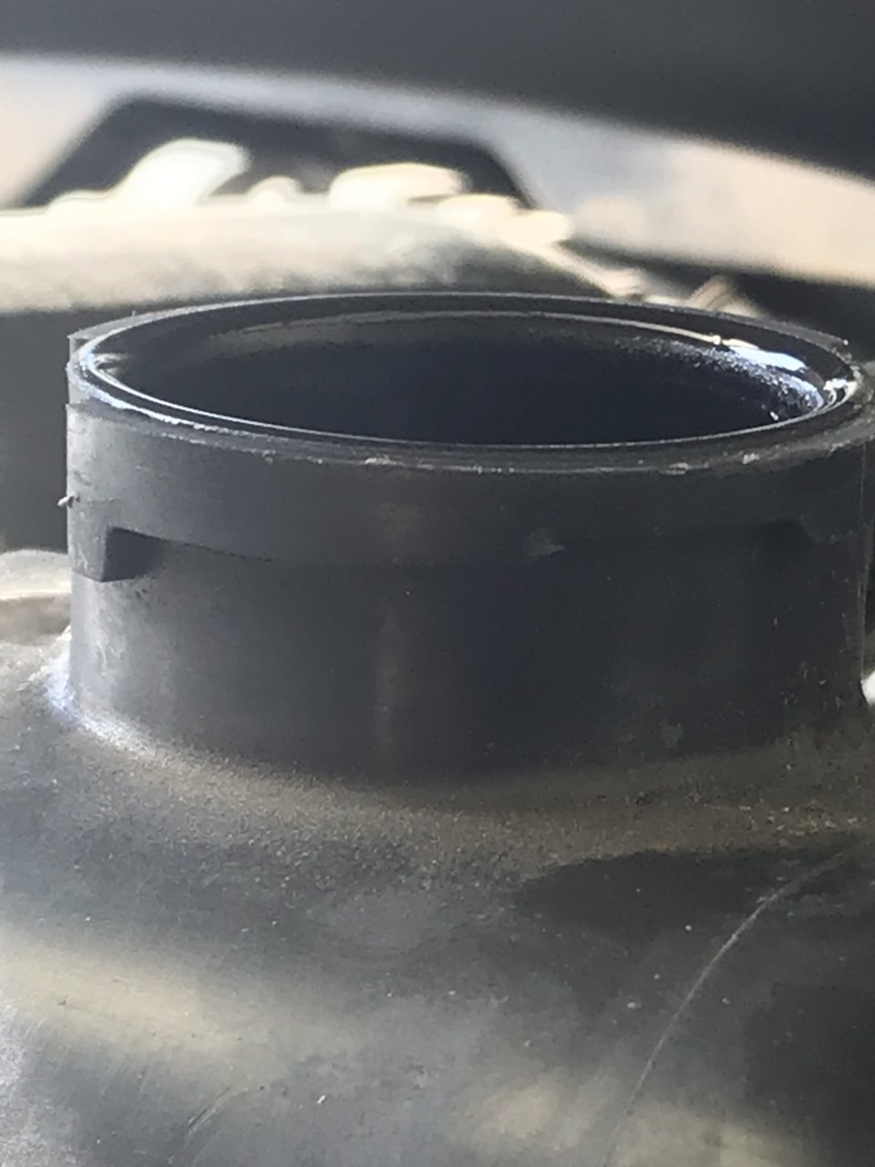 EF51996F-994F-45F2-AEE9-BCCBF882E920.jpg