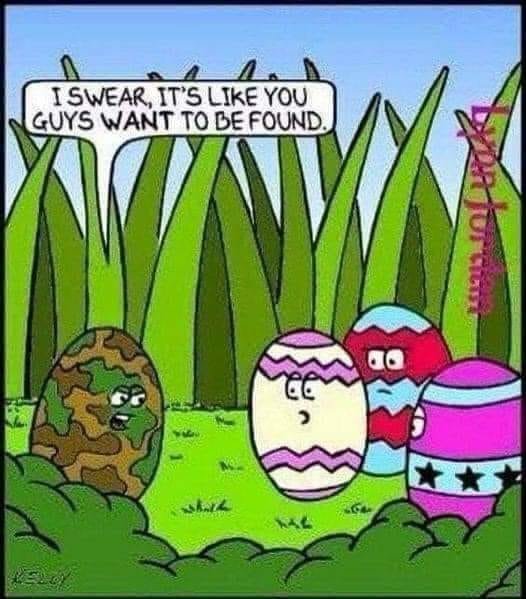 egg.jpg