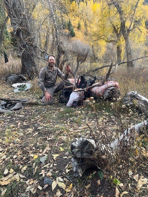 elk 2022 fruits.jpg