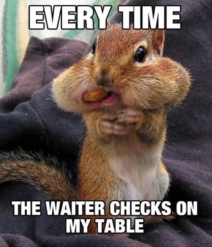 Every-Time-The-Waiter-Checks-On-My-Table-Funny-Squirrel-Meme-Picture.jpg