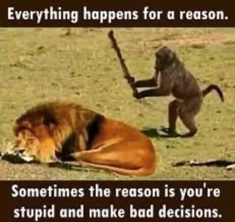Everything happens for a reason.png