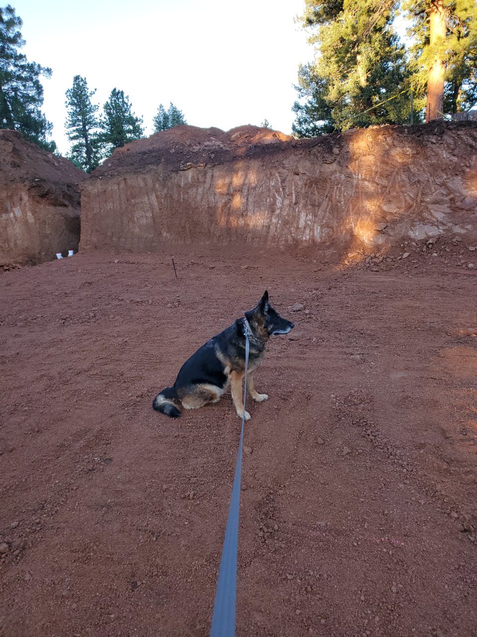 excavation complete 3 and Raina.jpg