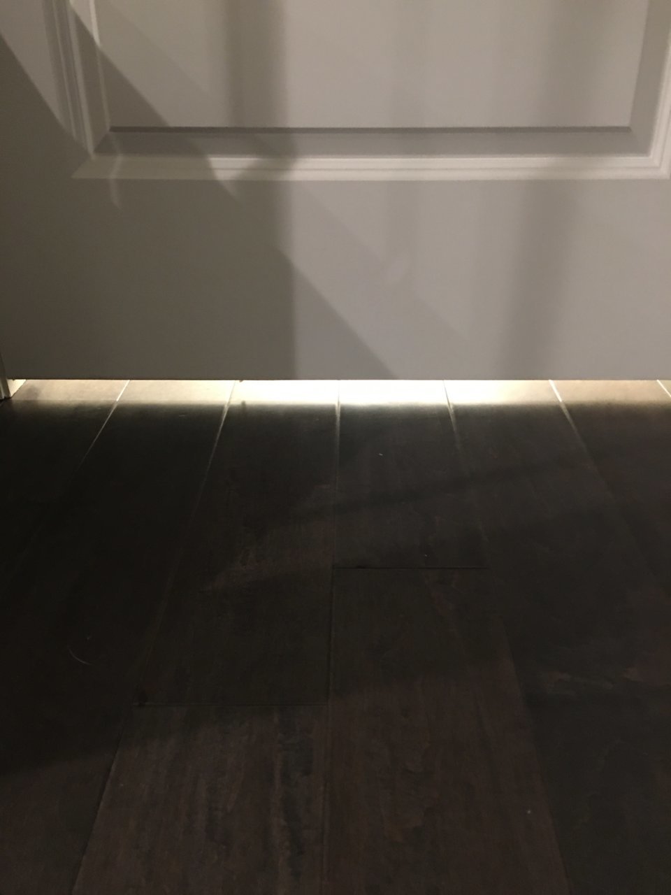 F0F696DF-BD8C-4101-B2D0-A59D5F6FD6D2.jpg