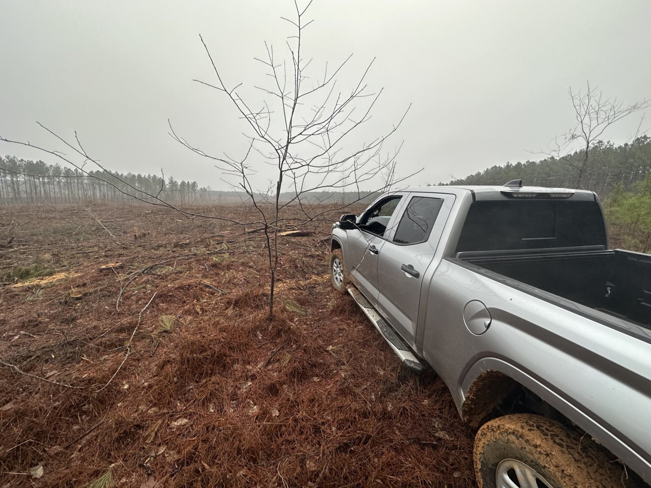 F48AA179-1541-4922-88BD-F5F2CAA7AD57.jpg