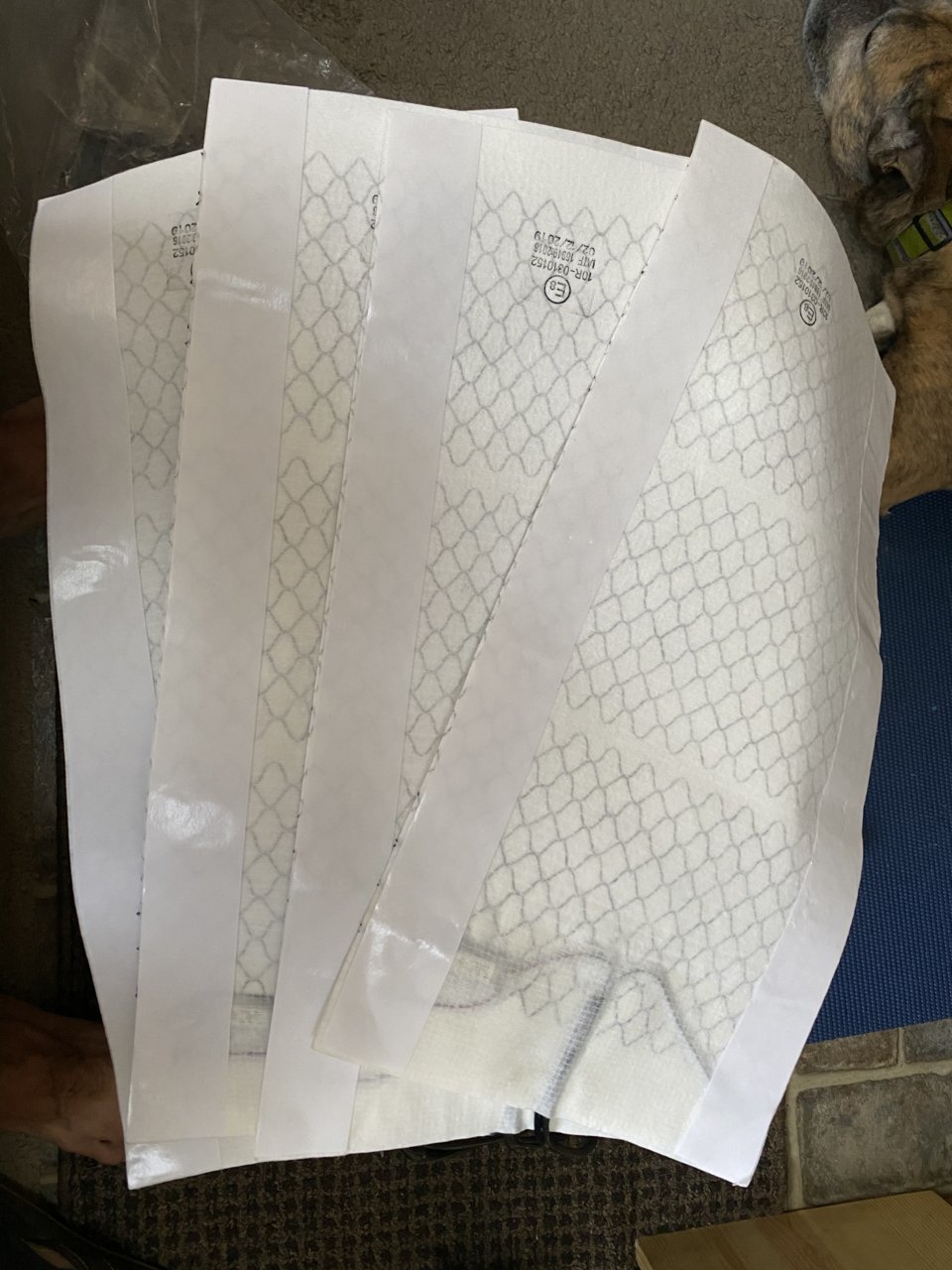 F76BDCED-B484-46C8-A92E-CD7E368A460E.jpg