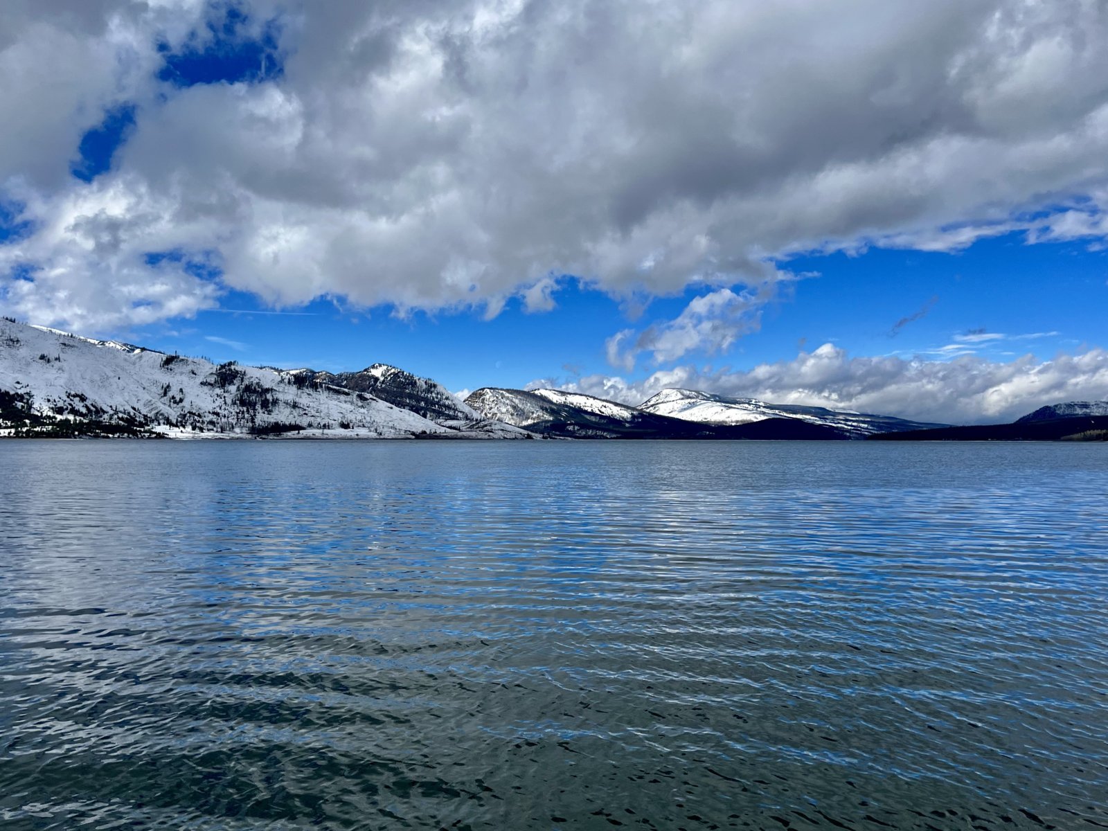 F8852E8C-4376-4DF2-A135-370D4C55D5EB.jpg
