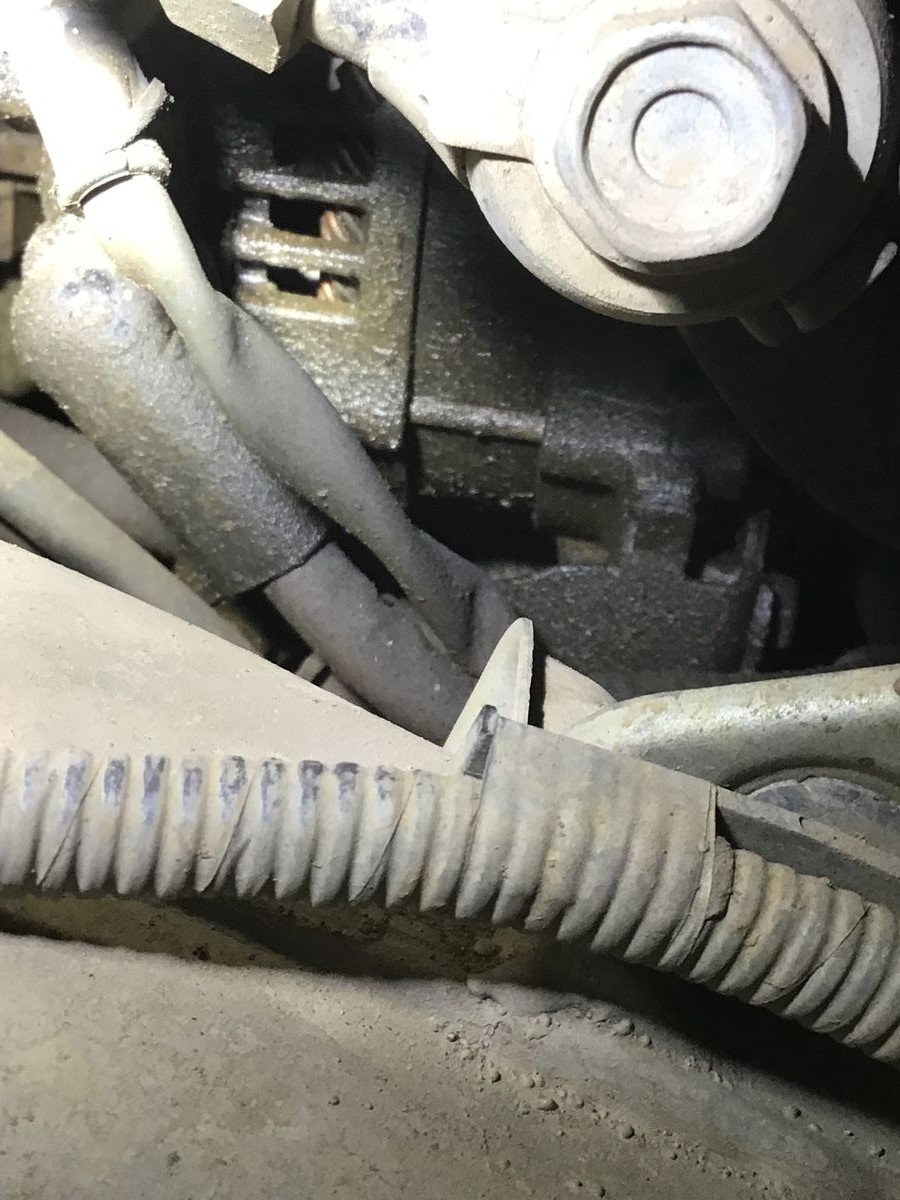 2012 Timing Chain Cover Leak | Toyota Tundra Forum