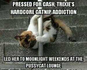 FB_IMG_1461289356738.jpg