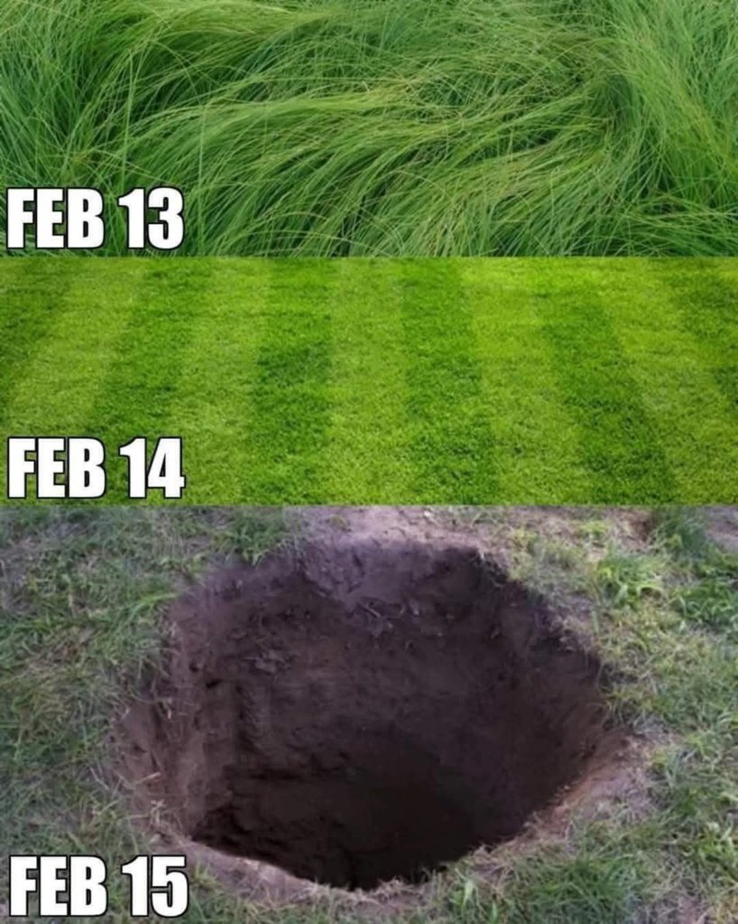 FB_IMG_1739506816560.jpg