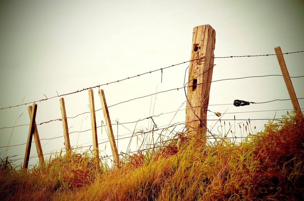 Fence post.jpg