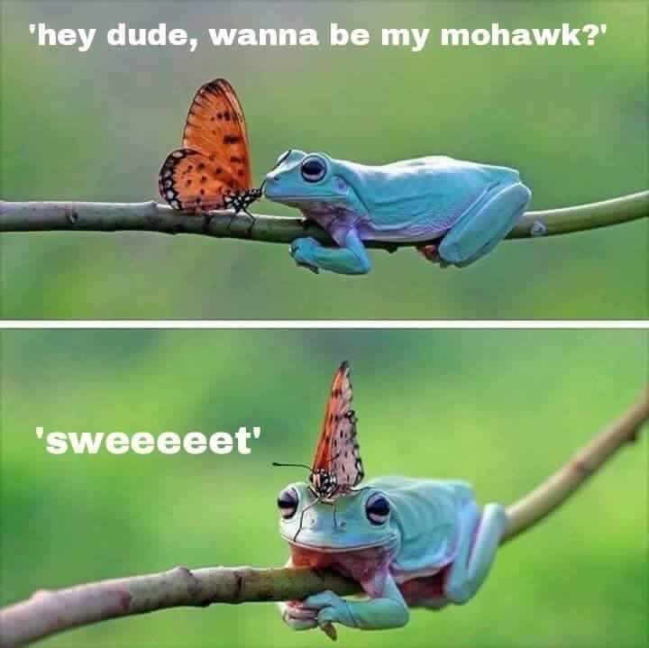 fgykfgh.jpg