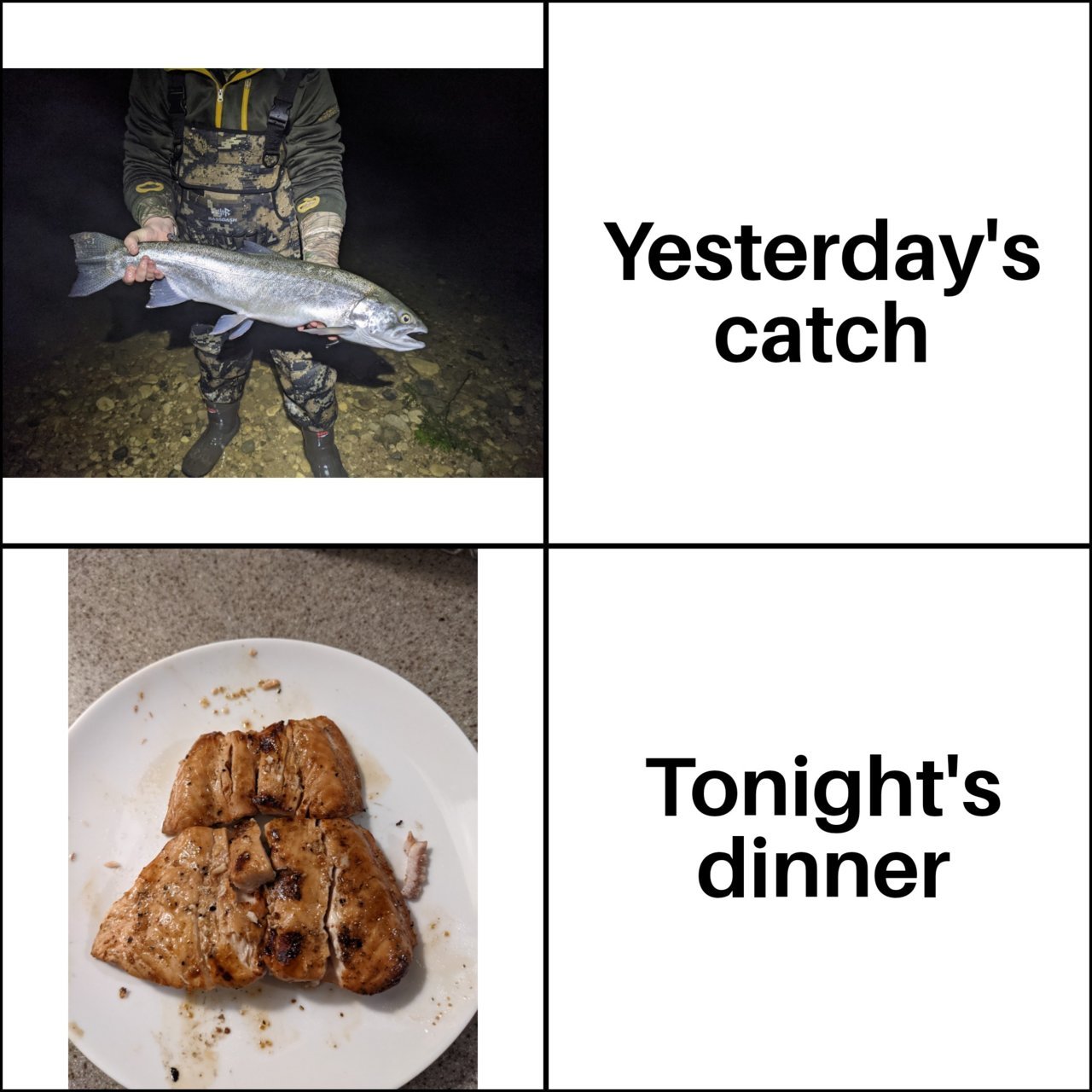 Fish Dinner meme.jpg