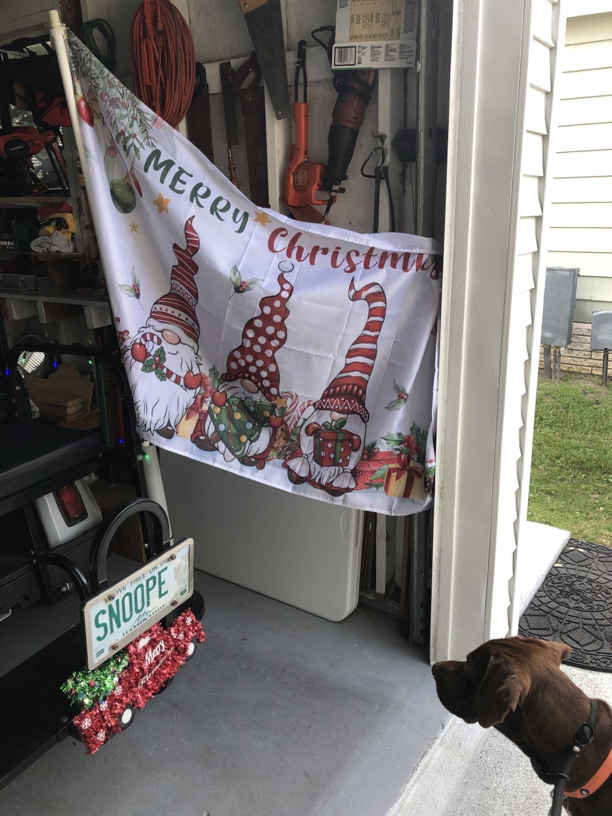 flag replacement on golf cart seasonal.jpg