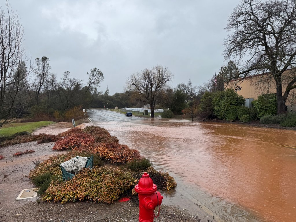 flooded.jpg