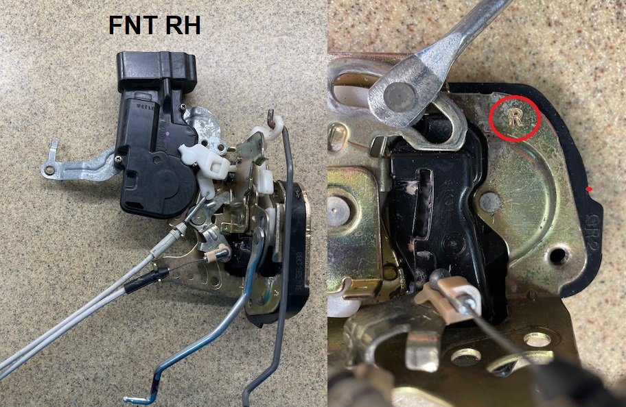FNT RH.jpg