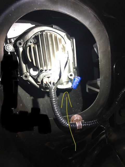fog light.jpg