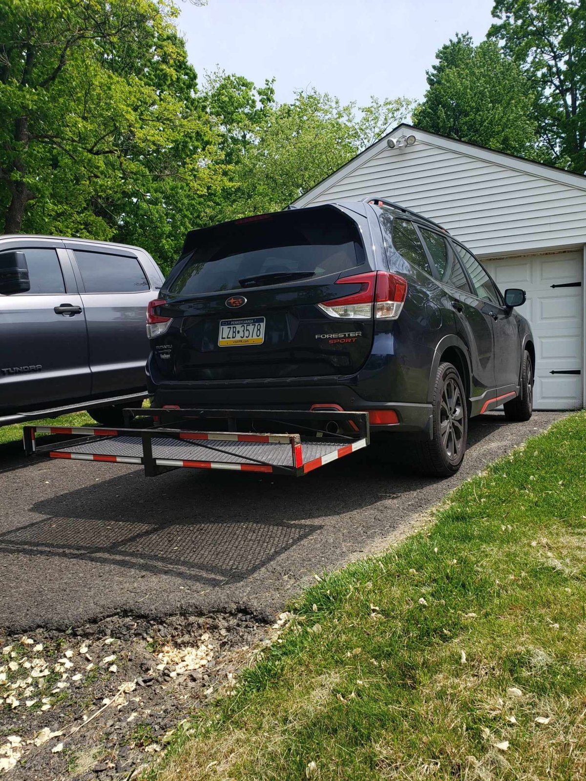 Forester.jpg