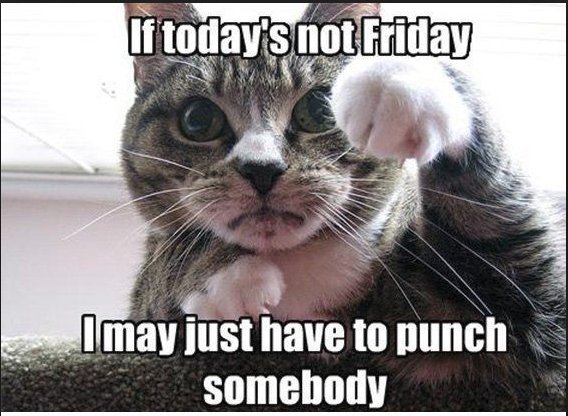 friday punch.jpg