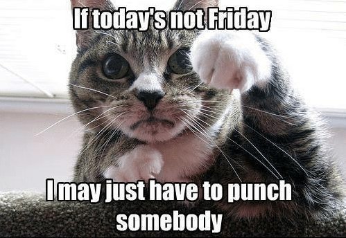 friday punch.jpg