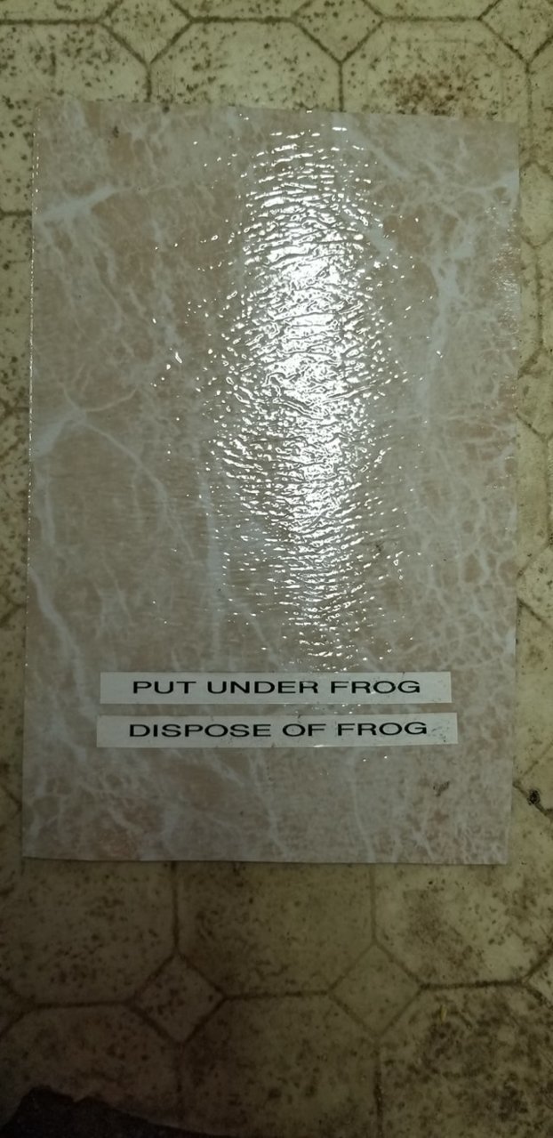Frog disposal.jpg