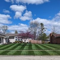 front lawn 2024.jpg