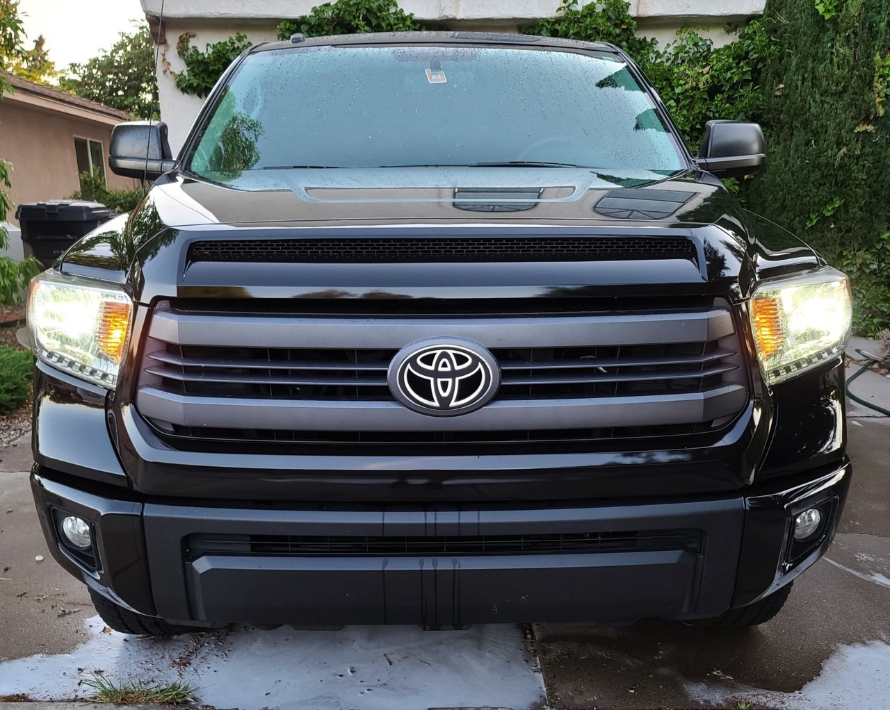 front lights.jpg