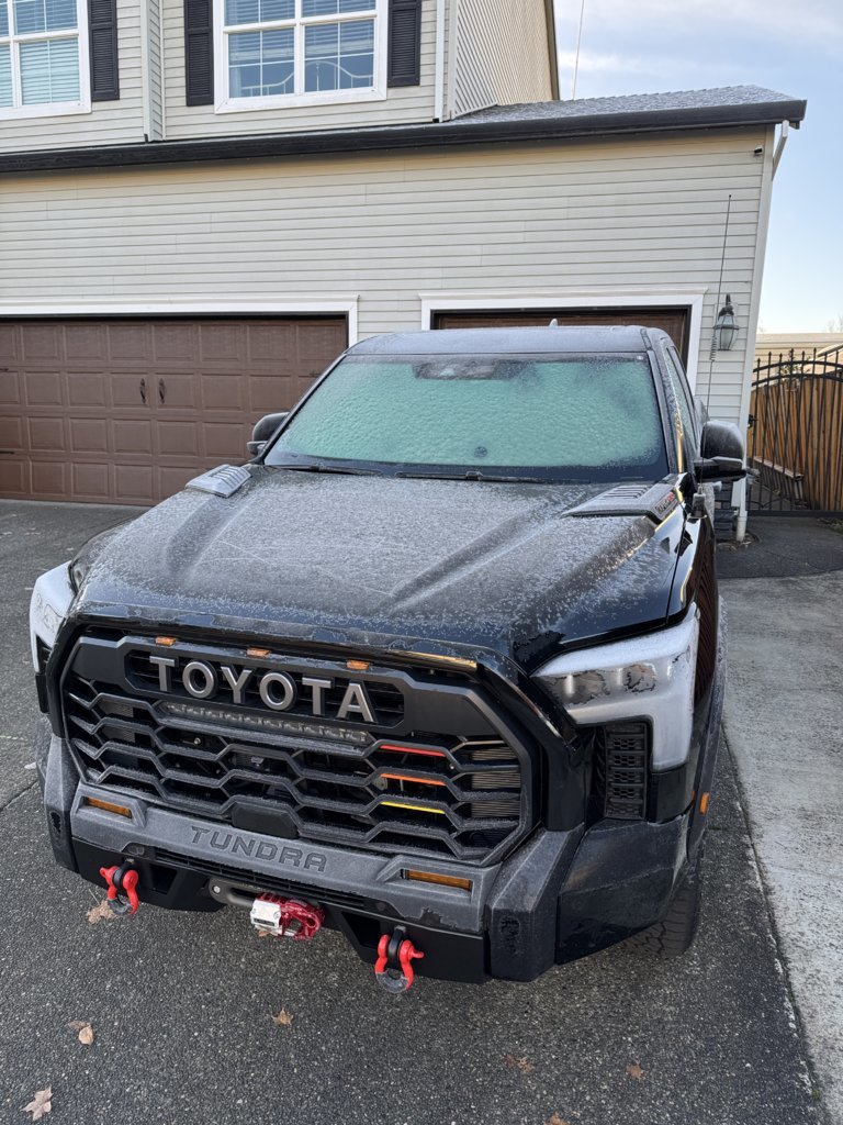 Frozen Tundra.jpg