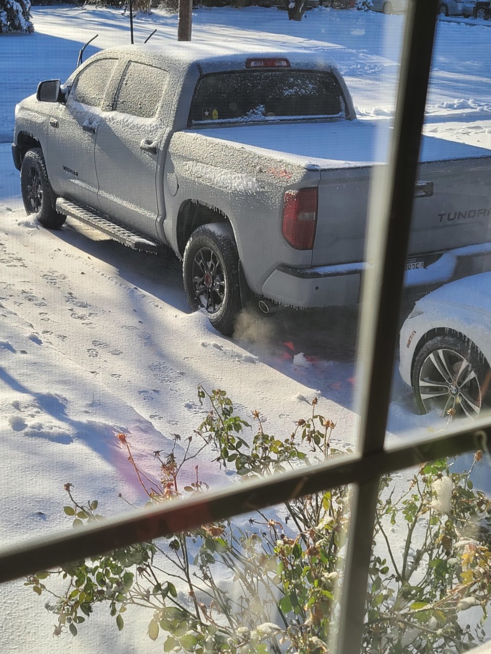 frozen tundra.jpg