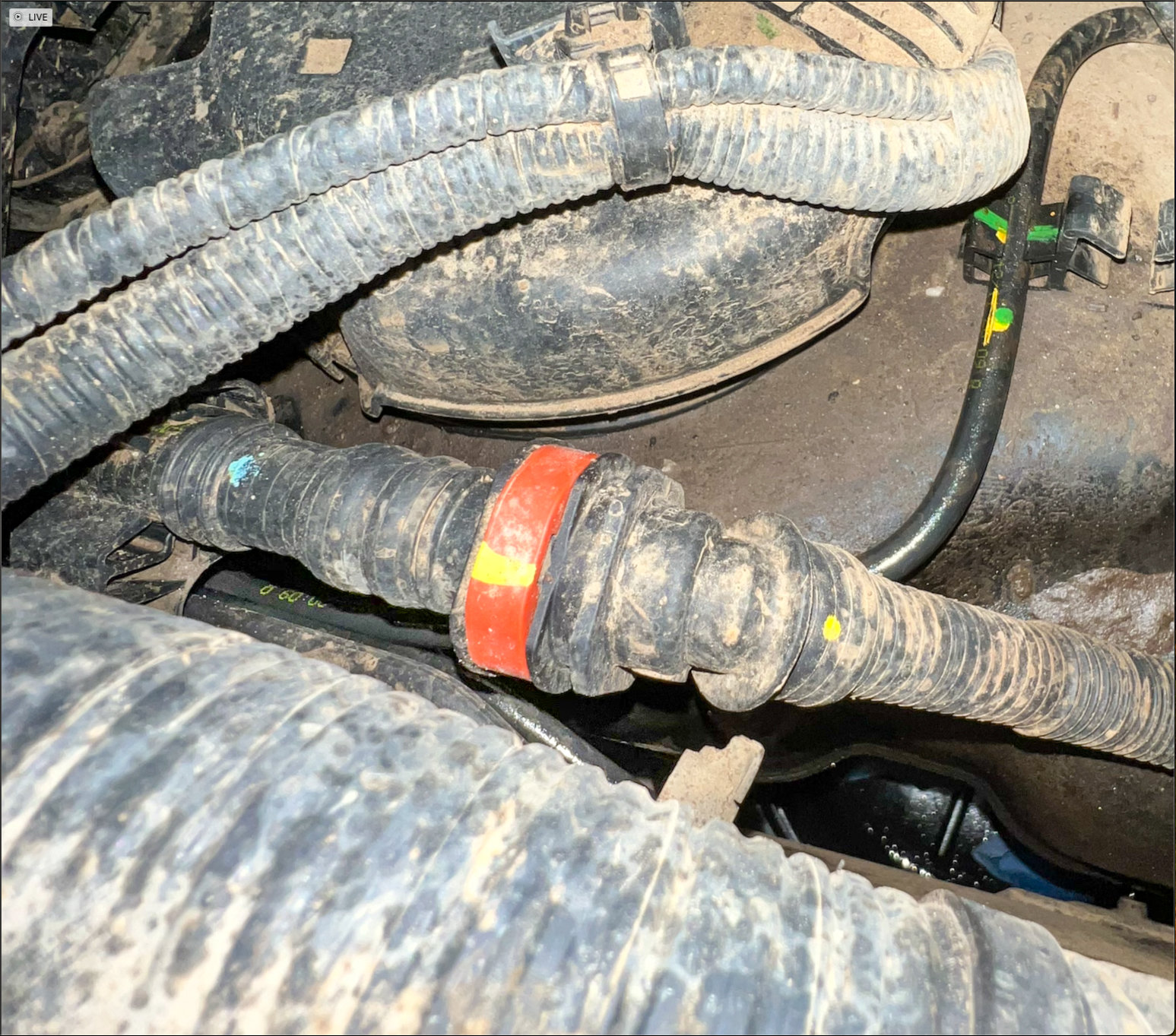 Fuel line rub location.jpg