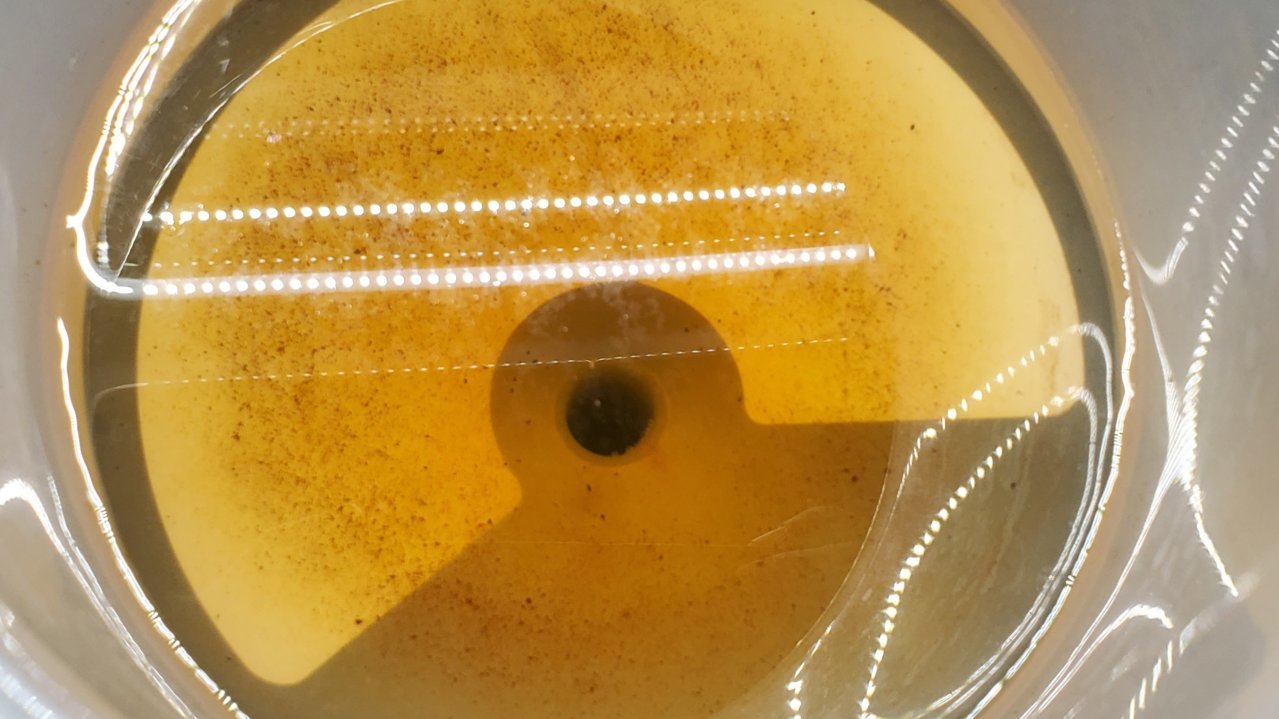 Funnel sediment .jpg