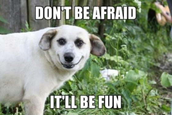funny-captions-5-1.jpg