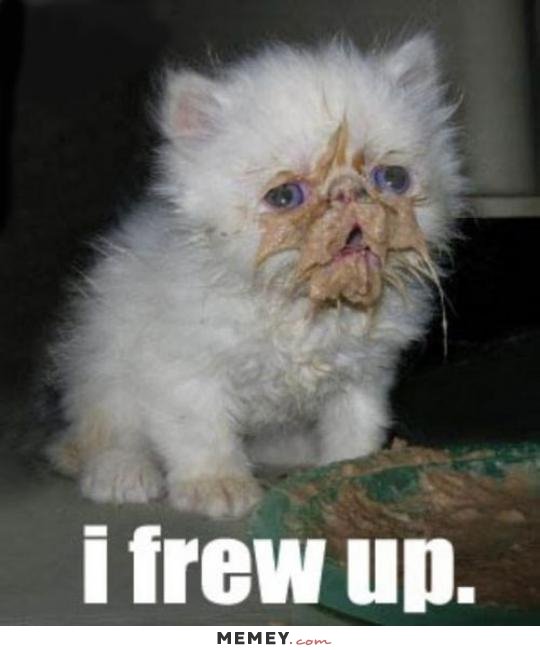 funny-kitten-vomit.jpg