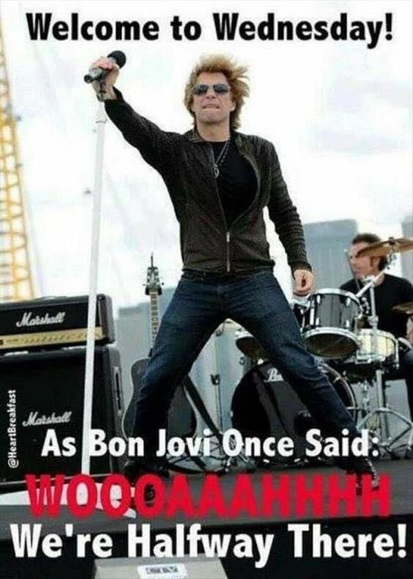 Funny-Memes-about-Hump-Day1.jpg
