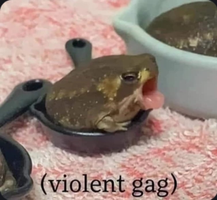 gaggg.jpg
