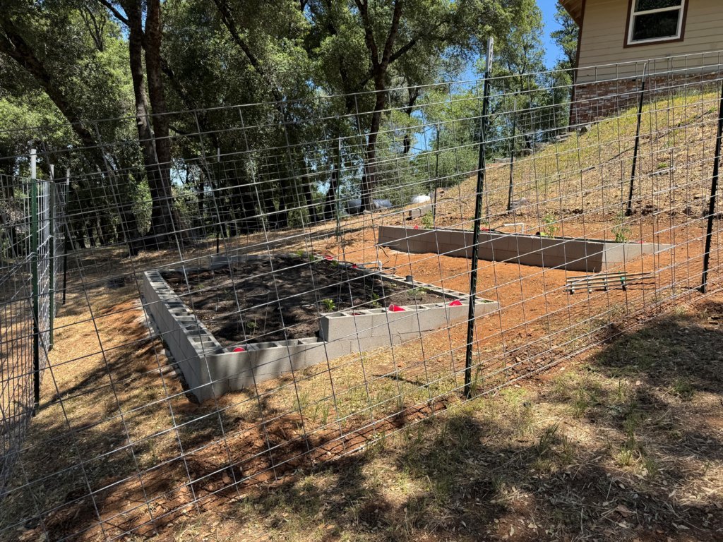 garden 1.jpg