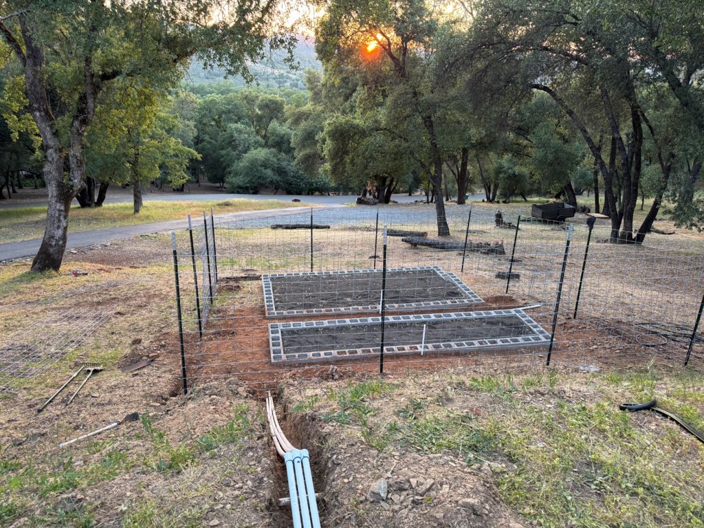 garden 2.jpg