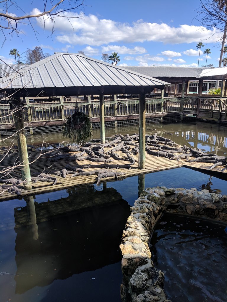 gatorland.jpg