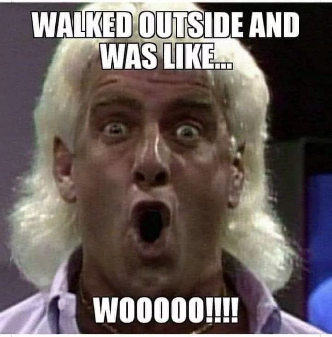 GD50EzxXsAAMfEY.jpg