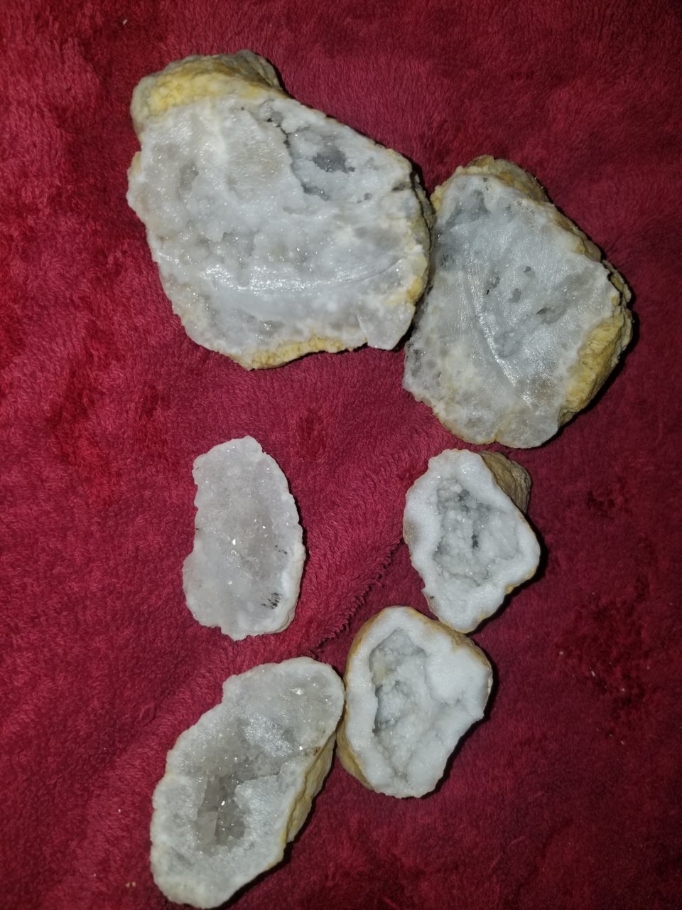 Geodes- Dead Horse .jpg