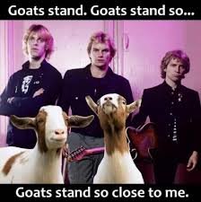 goats stand.jpg