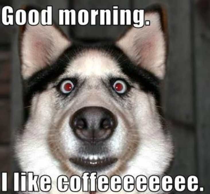 Good-Morning-memes-min.jpg