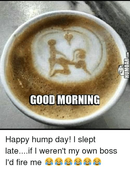 good-morning-w03-myvownh-happy-hump-day-i-slept-late-if-10544687.jpg