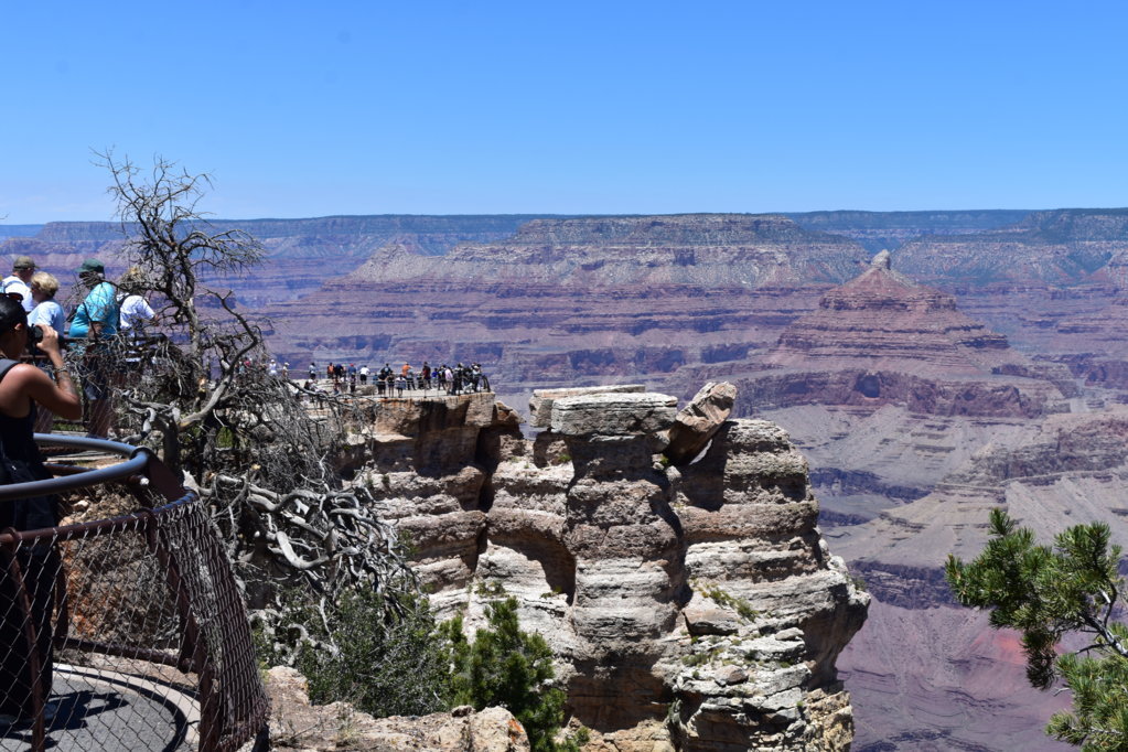 GrandCanyon4.jpg